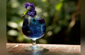 Duncan's Thai Kitchen: Rivers to the Rainforest