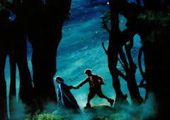 Érase una vez... (Le petit poucet)