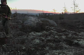 Alone: Frozen : Season 1: Outfoxed