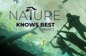 Xploration Nature Knows Best: Swimming with Sharks