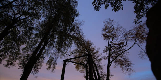 08:15: ZDF-History | ZDFinfo | 11/11 2025