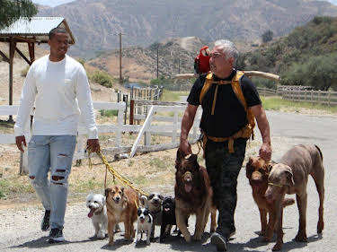 06:15: Cesar Millan: Better Human Better Dog - Bessere Menschen, bessere Hunde | Sixx | 4/26 2026