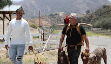 Cesar Millan: Better Human Better Dog - Bessere Menschen, bessere Hunde