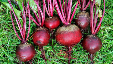 11:45: Kochen mit Martina und Moritz | WDR Fernsehen | 5/2 2026