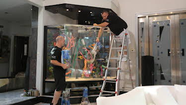 01:30: Tanked (S7 E8) (S7) | Animal Planet | 5/1 2026