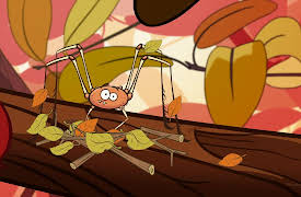 I'm a Creepy Crawly: Daddy Long Legs