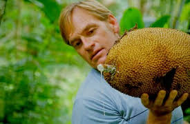 Down to Earth with Zac Efron: Costa Rica