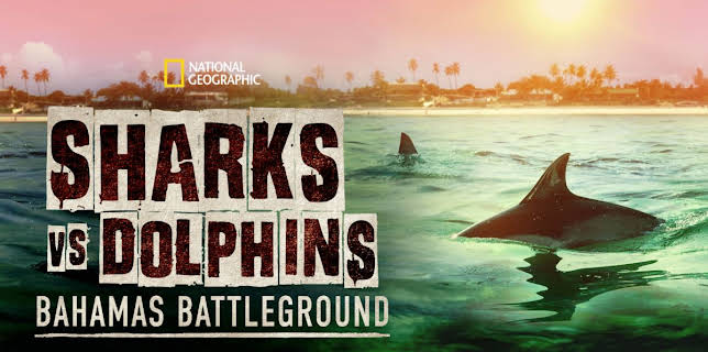 Sharks vs. Dolphins: Bahamas Battleground (2023)