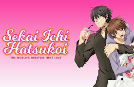 Sekai Ichi Hatsukoi - The World's Greatest First Love: First Impressions are the Most Lasting