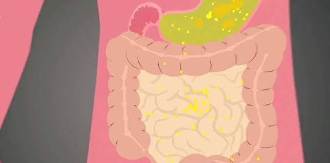 08:00: Von der Zunge zur Speiseröhre | ARD Alpha | 3/23 2026