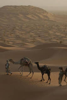 15:45: Las maravillas ocultas de África: Ruanda | La Otra | 3/30 2026