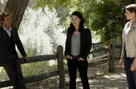 The Mentalist: The Complete First Season: Blood Brothers