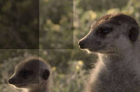 Born in Africa: Episode 1