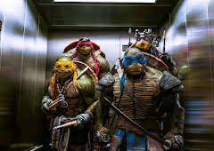 Teenage Mutant Ninja Turtles