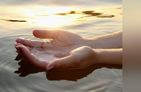 Life in the World's Oceans: Water: The Source of Life