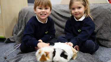 1:25 PM: Time for School (S4) | Cbeebies | 1/1 2026