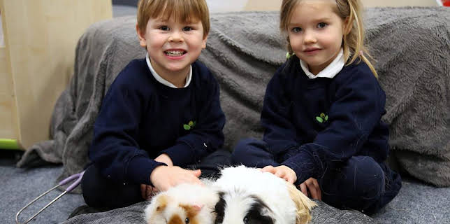 12:35 PM: Time for School (S4) | Cbeebies | 11/12 2025