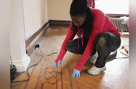 American Rehab: Restoring Victoria Season 1: Living Room Revamp