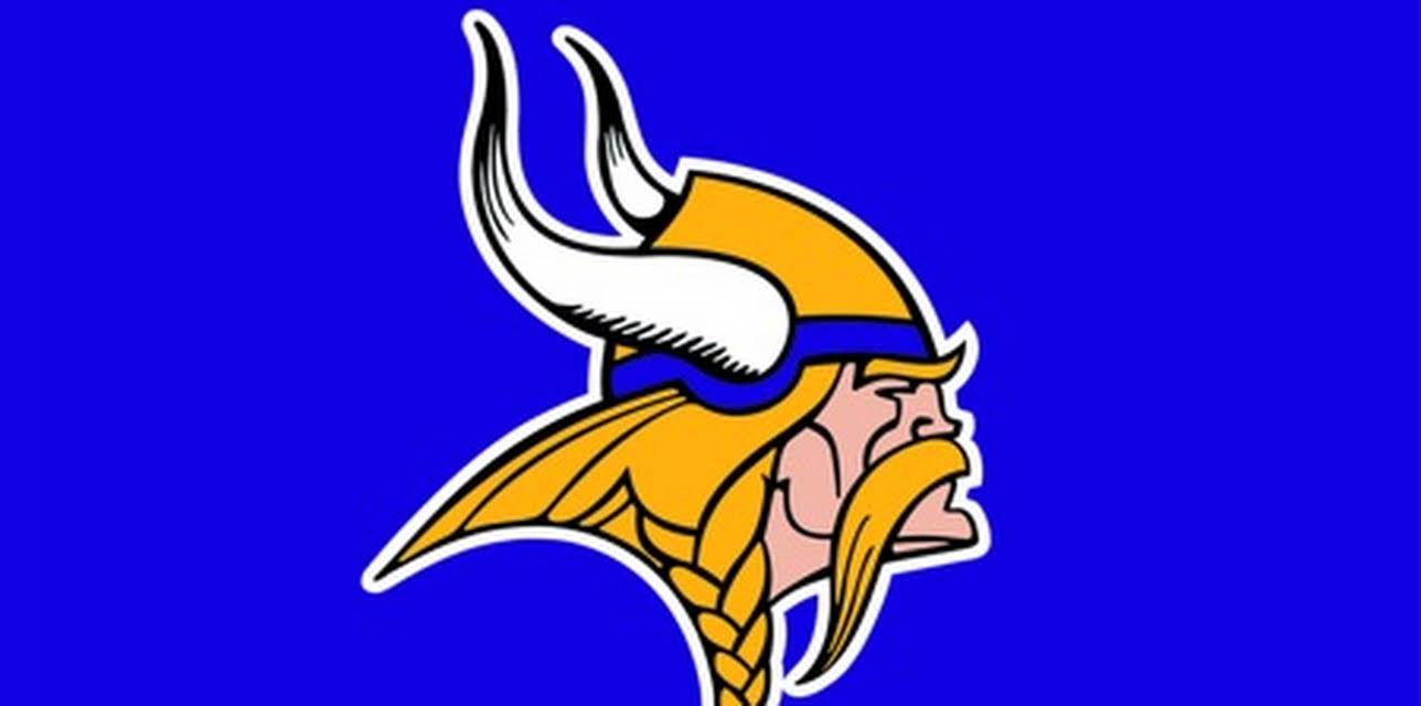 NFL: The Complete History of the Minnesota Vikings (2010)