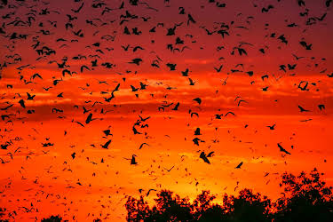 07:00: Ein perfekter Planet | ZDFneo | 5/3 2026