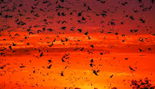 Ein perfekter Planet (3/5)