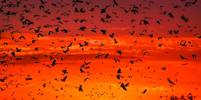 16:15: Ein perfekter Planet (3/5) | 3SAT | 11/5 2025