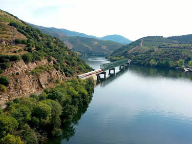 20:20: Im Herzen Portugals - Mit dem Zug von der Küste in das Douro-Tal | SWR Fernsehen RP | 9/6 2026