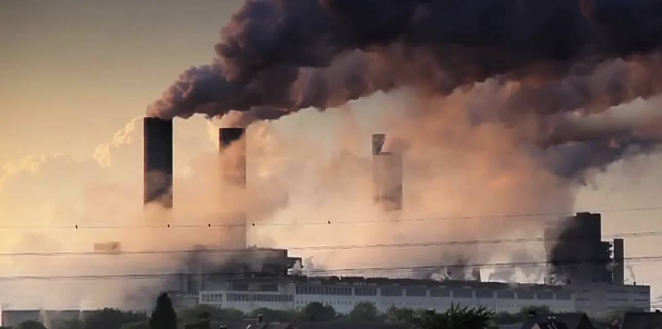 The Human Face of Big Data (2014)