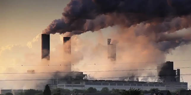 The Human Face of Big Data (2014)