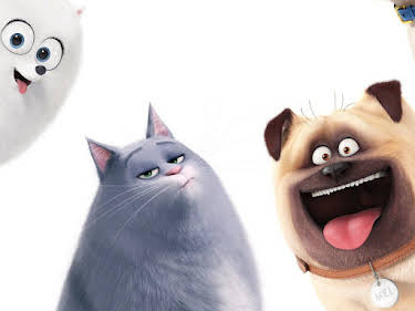 18:10: Pets | Sat1 | 5/14 2026