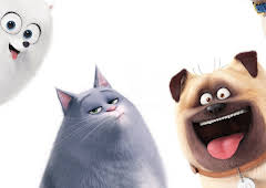 Pets