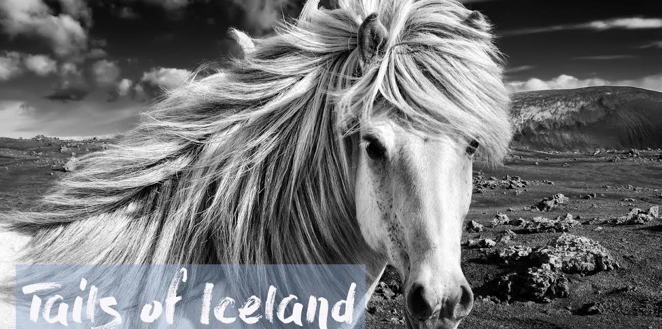 Tails of Iceland (2019)