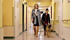 Die Heiland - Wir sind Anwalt (S02/E02)