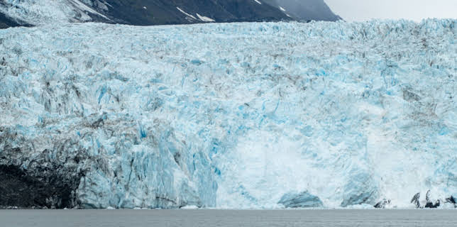 11:00: Faszination Erde - mit Dirk Steffens | ZDFneo | 11/16 2025