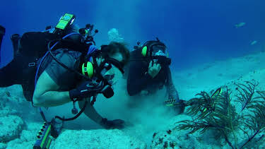 06:12: Cooper's Treasure (S1 E5) (S1) | Discovery Science | 12/30 2025