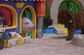 Mittens and Pants: Baby Chick Sitting