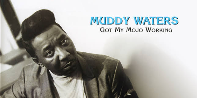 Muddy Waters: Got My Mojo Working (1978)