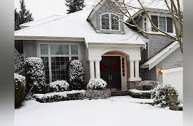 How to Grow Anything: Make Your Trees and Shrubs Thrive: Fall and Winter Care of Trees and Shrubs