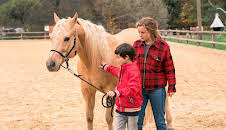 Reiterhof Wildenstein - Der Junge und das Pferd