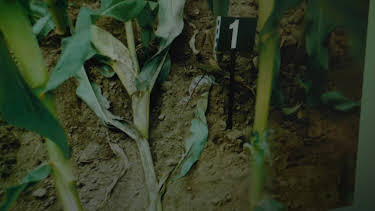 01:25: Ermittler! | ZDFneo | 4/9 2026