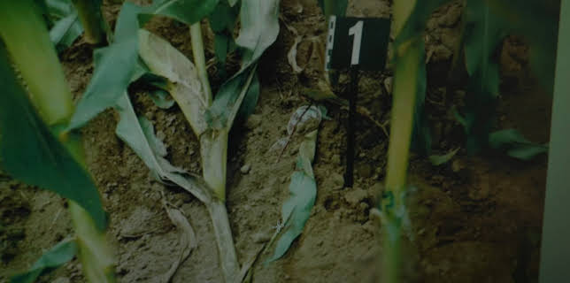 05:10: Ermittler! | ZDFneo | 1/22 2026