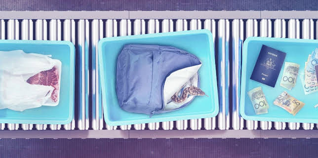 12:40: Border Patrol Australia | ProSieben Maxx | 12/8 2025