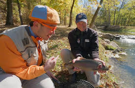 Blippi - Ten Years of Curiosity: Blippi Top Ten: Animals!