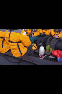 05:15: Encuentros muy salvajes: El gigante azul | Nat Geo Wild | 1/25 2026