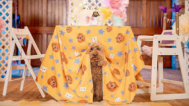 5:20 PM: Waffle's After School Club (S2) | Cbeebies | 9/29 2026