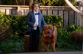 Turner & Hooch, S1: Bite Club