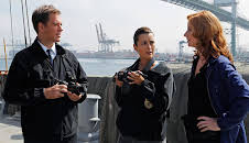 NCIS (S9 E5)