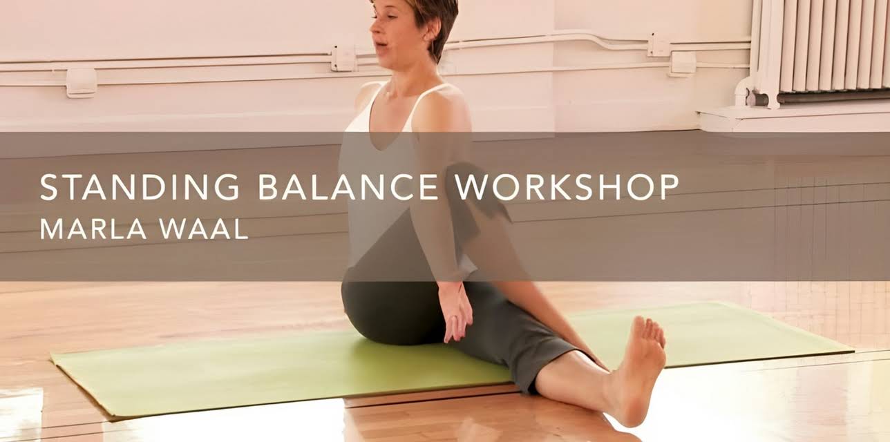 Standing Balance Workshop (2010)