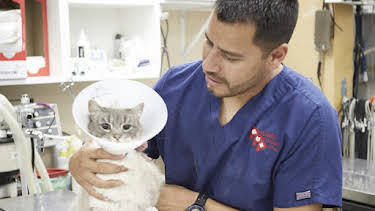 3:00 PM: Dr. Jeff: Rocky Mountain Vet (S1) | Discovery Channel | 7/15 2026