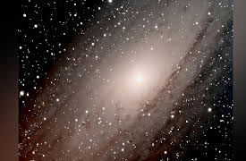 Black Holes, Tides, and Curved Spacetime: Understanding Gravity: Which Universe Is Ours?